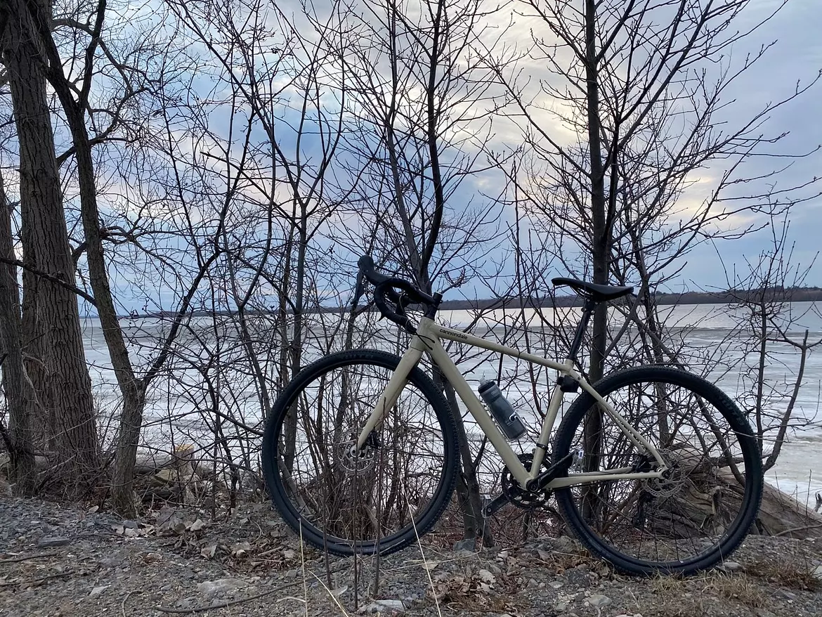 a bicycle parked by a tree