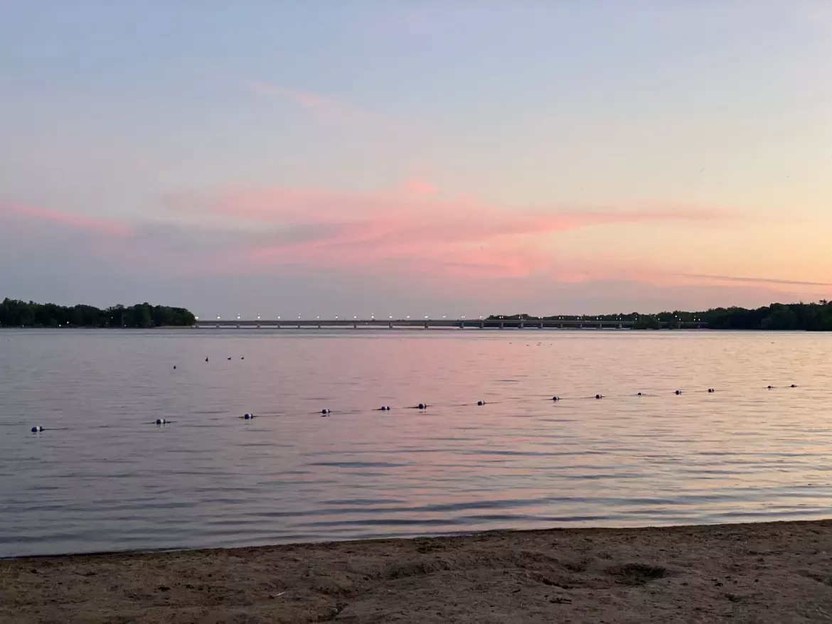 a group of birds on a beach