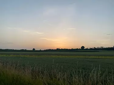 a field of grass with a sunset in the background