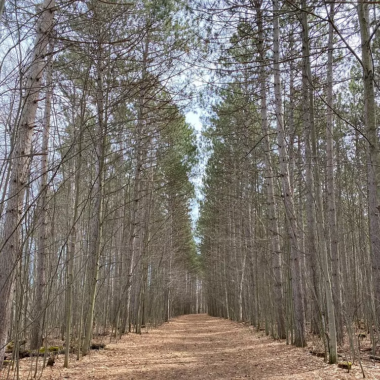 Hitting the Trails with Nathan