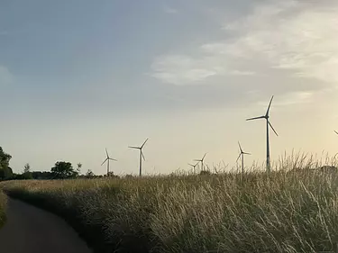 a road with windmills on either side of it