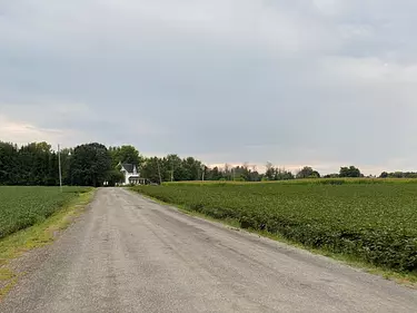 a road with grass on the side