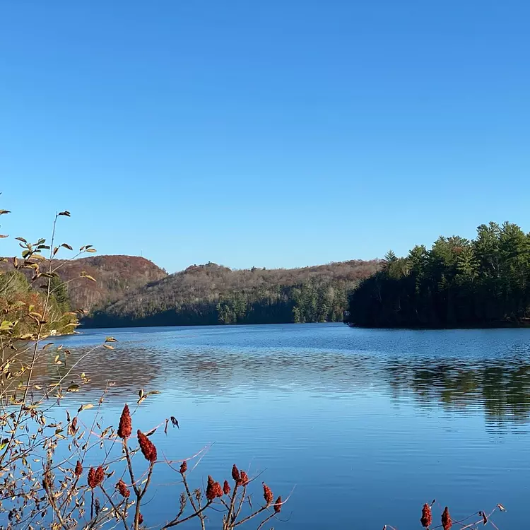 lake view