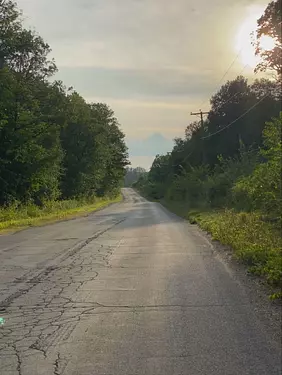 a road with trees on the side