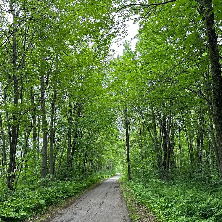 Saint-Zotique to Montréal