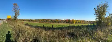 a grassy field with trees in the background