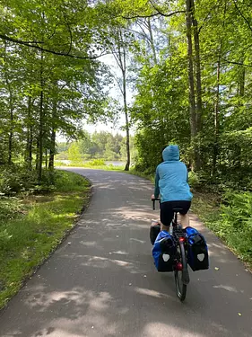 Felix on a path in a forest