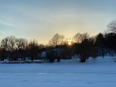 a snowy field with trees and a sunset