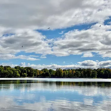 a body of water with trees and a cloudy sky