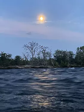 a body of water with trees and a sunset in the background