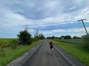 a person riding a bicycle on a road with grass and trees on the side
