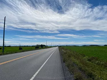 a road with grass on the side