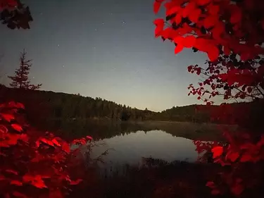 a lake surrounded by trees