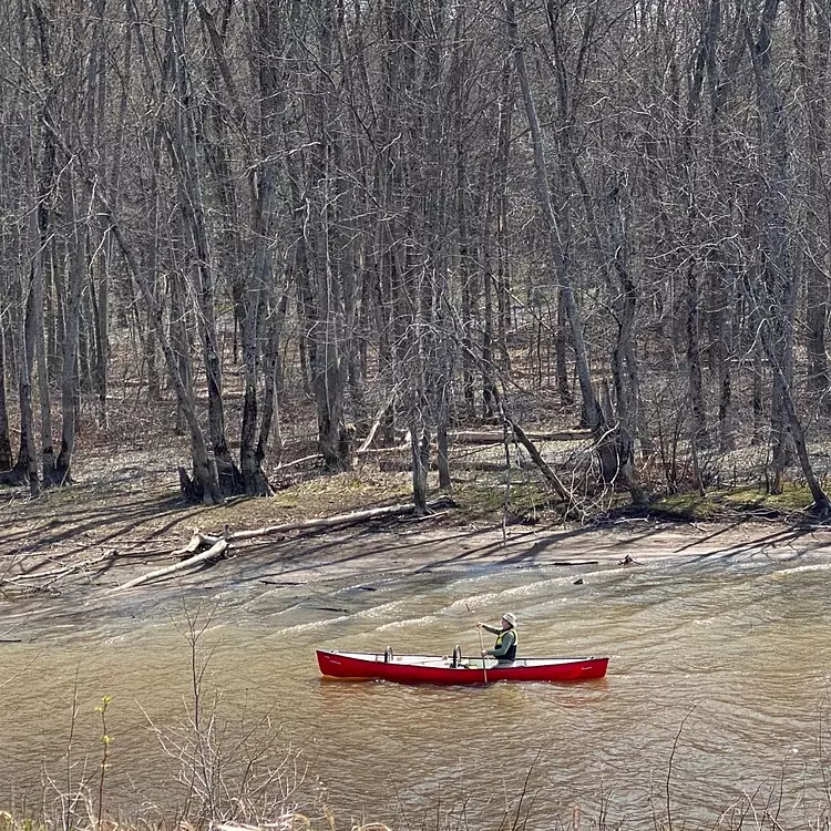 a person in a red boat in a river with trees