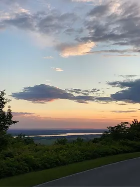 a road with trees and a body of water in the background