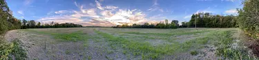 a field of grass and trees