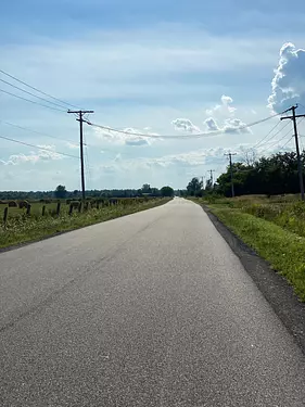 a road with grass and power lines on the side