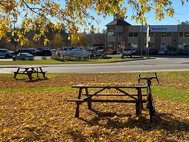 a picnic table in a park