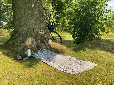 a blanket on the ground by a tree and a bicycle