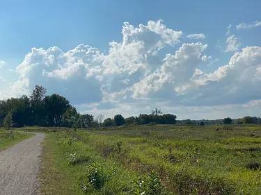 a dirt road leading to a field of grass and trees