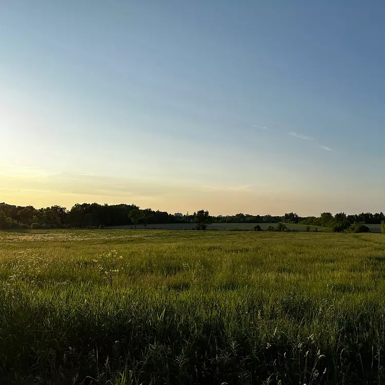 Big Bog Excursion