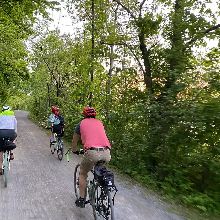 a group of people riding bikes on a path in the woods