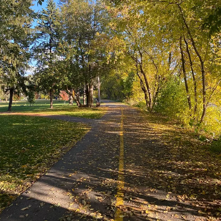 fall ride