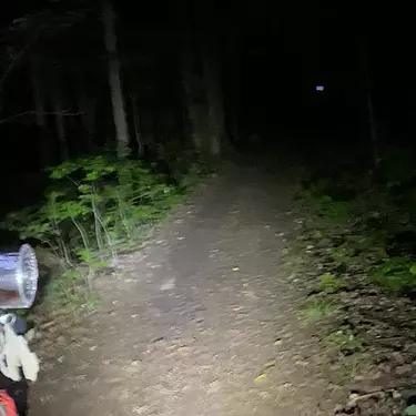 Climbing up with Watson