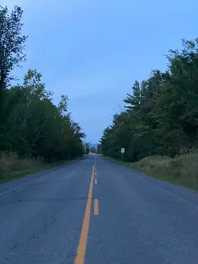 a road with trees on the side