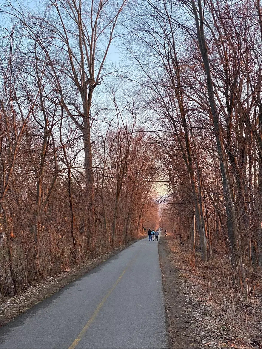 a group of people riding bikes on a road surrounded by trees