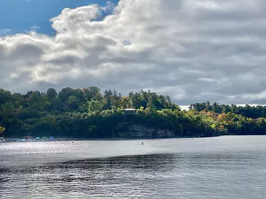 a body of water with trees in the back