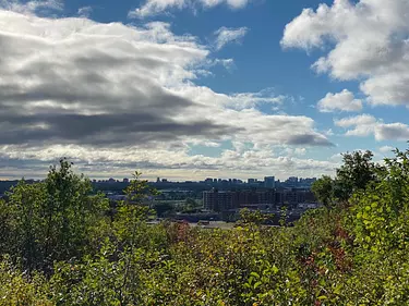 View of the City