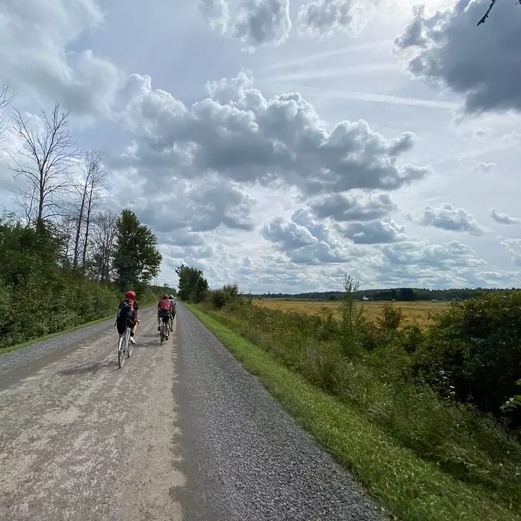 friends riding bicycles on a road