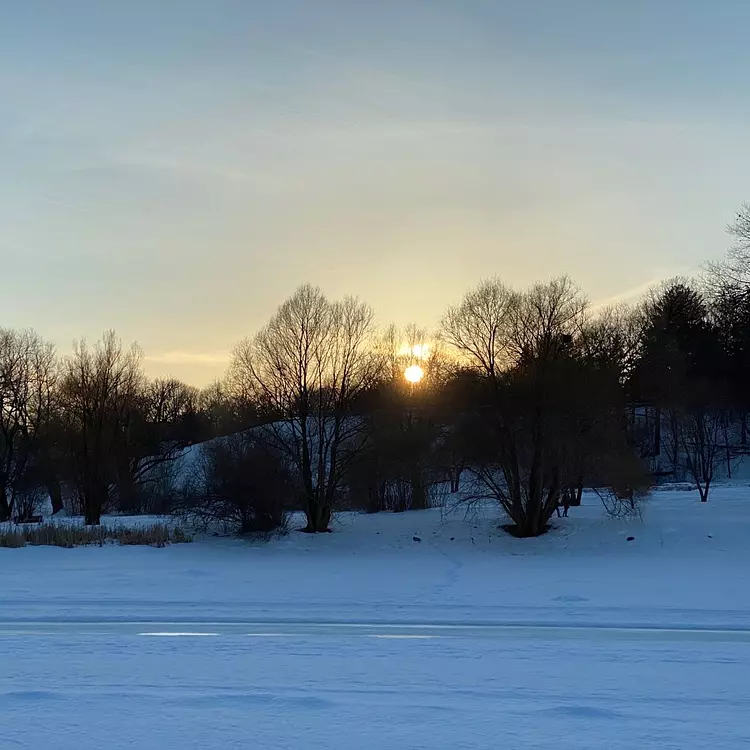 a snowy field with trees and a sunset