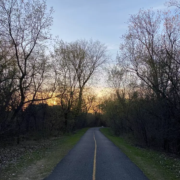 a road with trees on the side