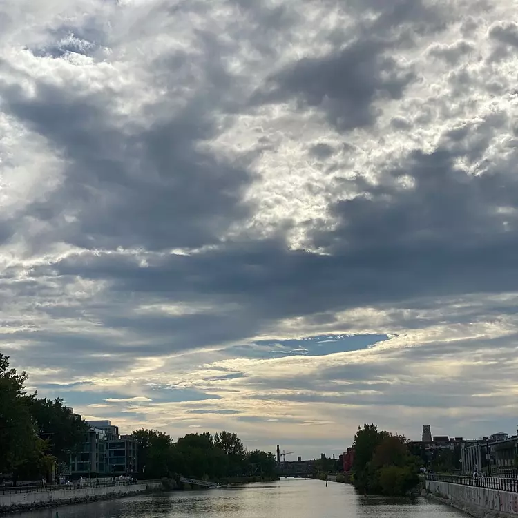 a body of water with buildings and trees around it