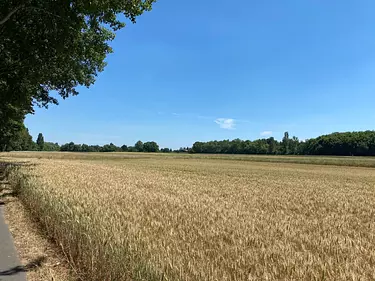 a field near Offenbach
