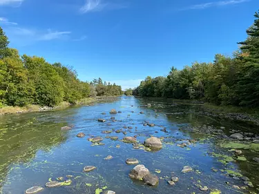 a river with rocks and trees