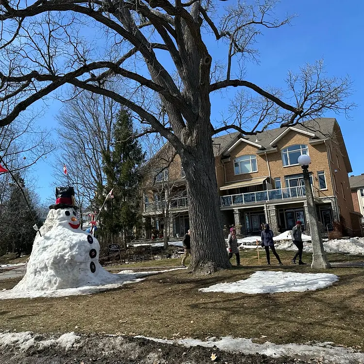 ice-skating by the arboretum