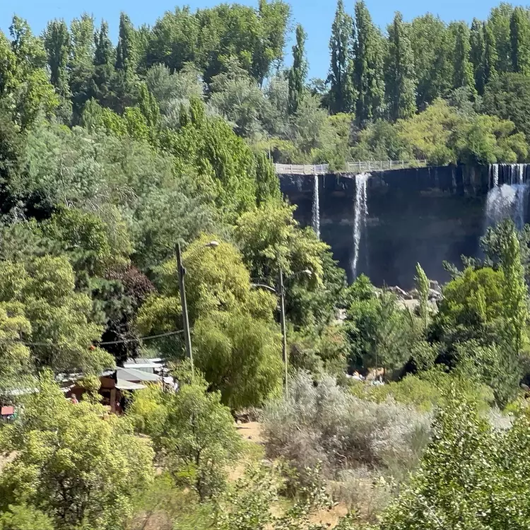 Saltos del Laja