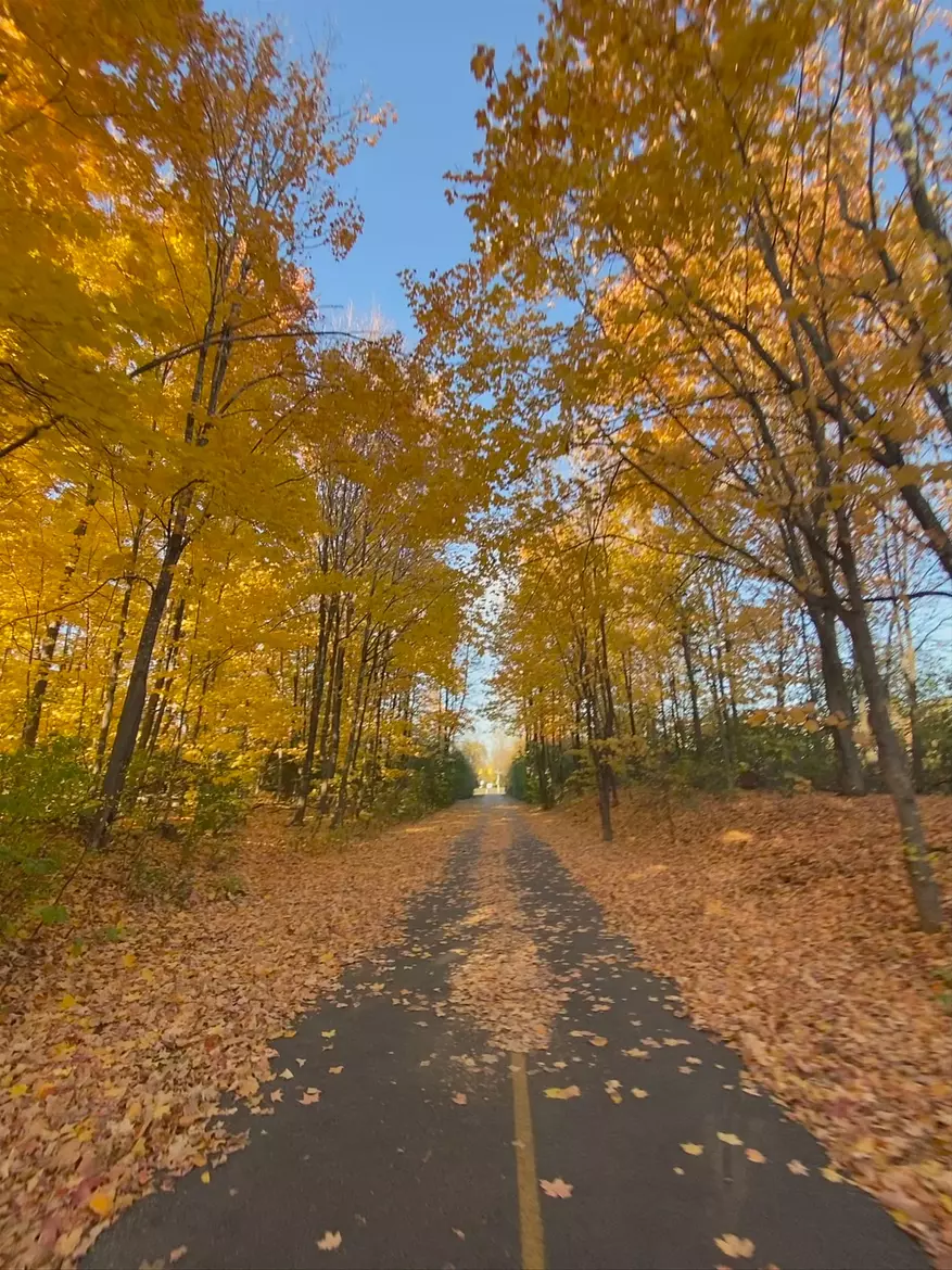 beautiful orange fall colors