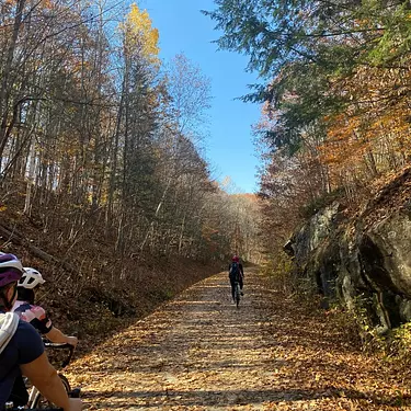 a group of people riding bikes on a trail in the woods