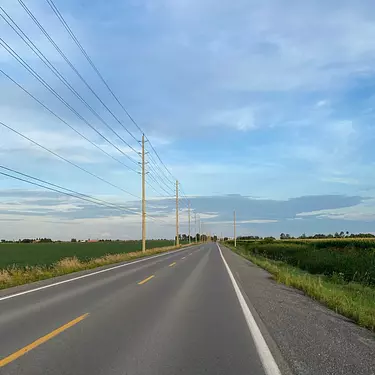 a road with power lines on the side