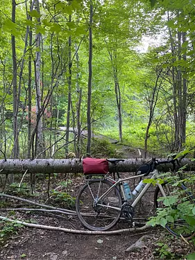 a bicycle parked on fallen tree