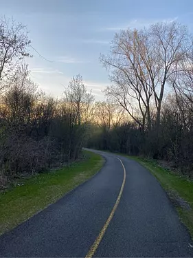 a road with trees on the side